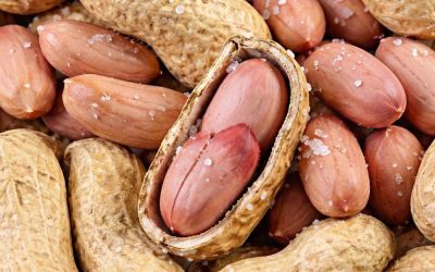 Health Benefits of Peanuts for Older Adults