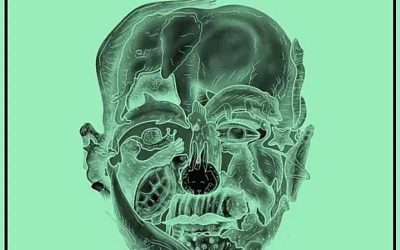 The First Animal You See in This Optical Illusion Might Reveal Your Biggest Flaw