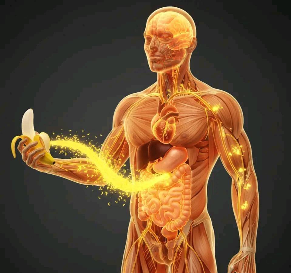 Eating bananas in the evening increases your… Show more