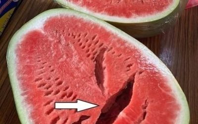If You Open a Watermelon and See This